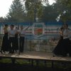 autoszalon_pecel_057