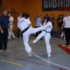 bushido_kupa_2011_080