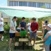 csk_2012_256