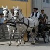 kiallitas_08