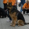 kiallitas_15